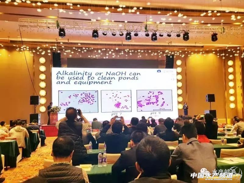 从事国防建设的80多岁老人，退休后转战对虾领域，开发两款产品年销量上千万