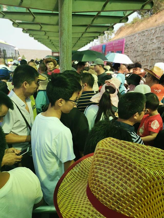 一家老小向前冲3,一家老小向前冲40集免费