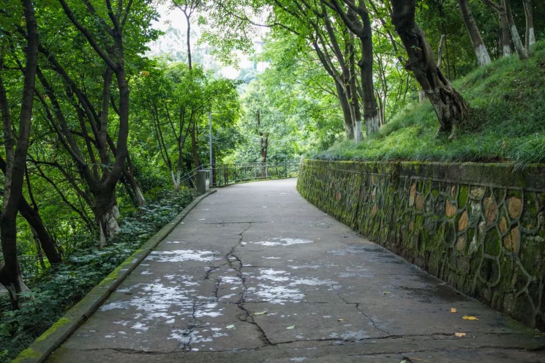 重庆永川适合宜居吗,重庆永川片区未来前景