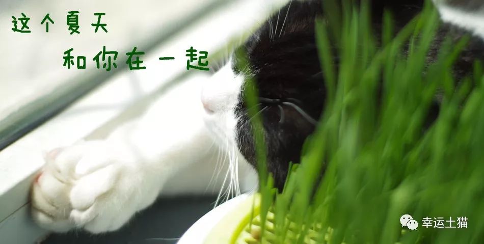 骞歌繍鍦熺尗骞垮窞,骞歌繍鍦熺尗涔夊崠