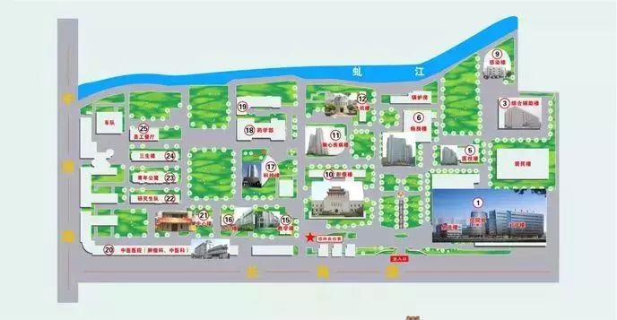 上海曙光医院是三甲医院吗,上海市三甲医院名单一览表