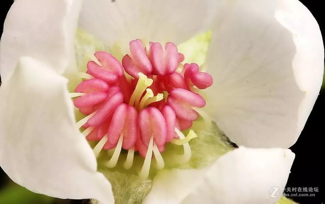 宫颈癌知识点,癌症的精准治疗有哪些