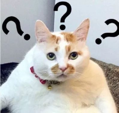 口红科普文,给男士科普一下口红