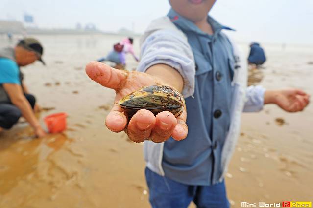 在礐石居然有这么一个世外桃源,日照有哪些海滩可以免费赶海