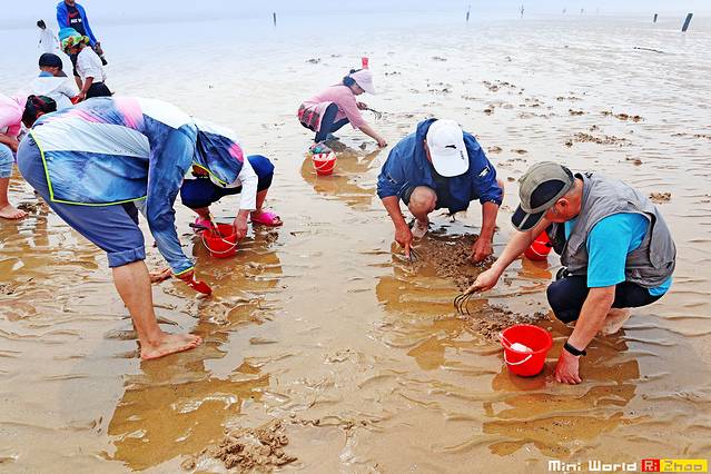 在礐石居然有这么一个世外桃源,日照有哪些海滩可以免费赶海