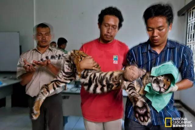 “谢谢你们,我们终于快死光了”