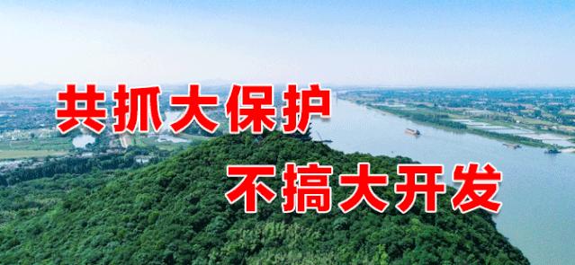 关于宁马人社领域合作，南京都市圈的这次会议透露了很多重要信息