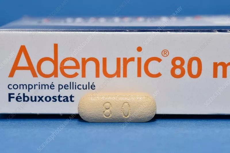 鎶楃棝椋庤嵂鐨勪綔鐢ㄥ強涓村簥搴旂敤,娌荤枟鍜岄闃插績鎴块ⅳ鍔ㄩ閫夎嵂