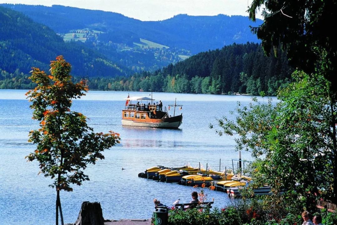 「旅游」喜欢烘焙的小伙伴当心啦！这款蛋糕用错原料可能面临牢狱之灾