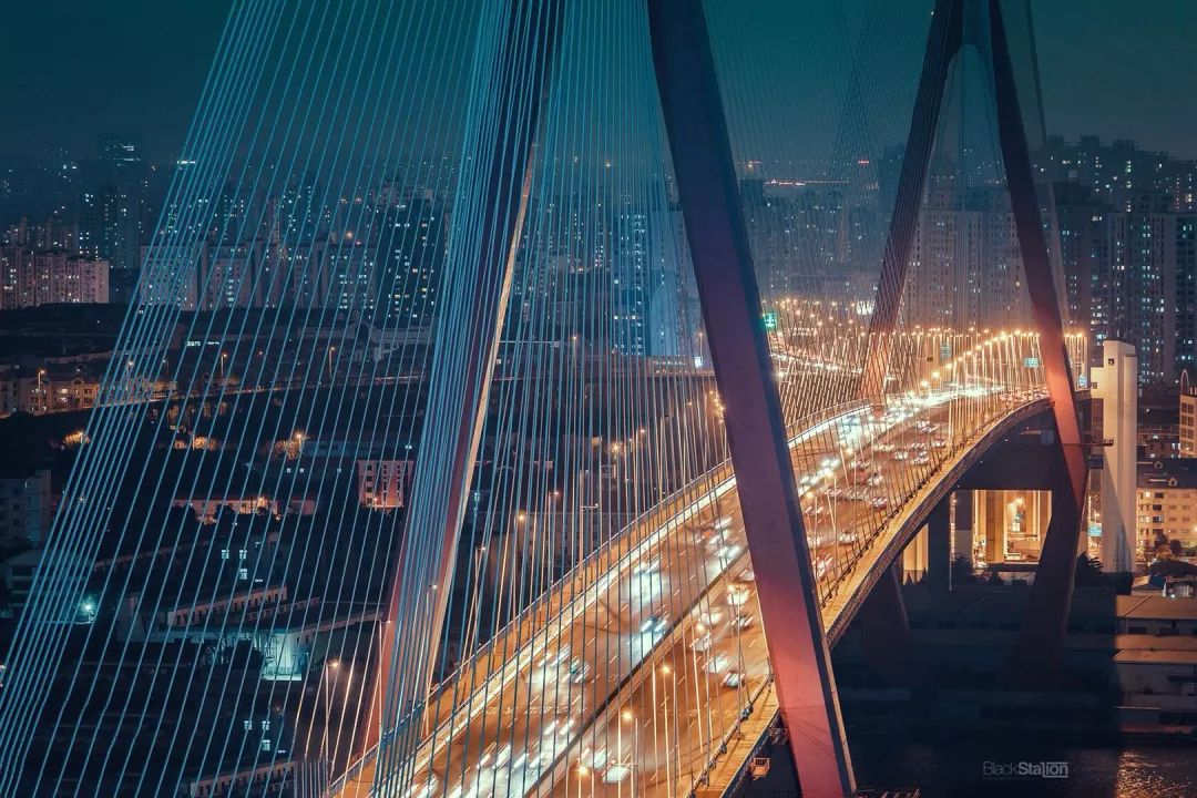 海派中医代表,上海老中医推荐中药