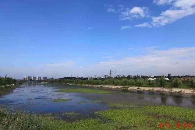 单县最值得去的地方,单县值得去的地方