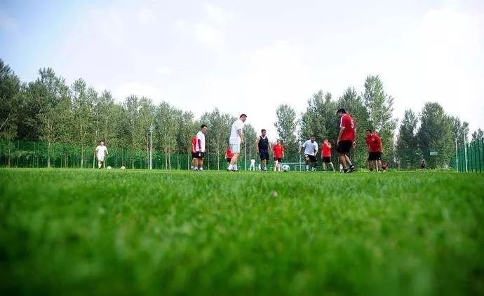 佛山挂起今年首个台风预警!不文明交通行为票选第一的竟是…|听佛山
