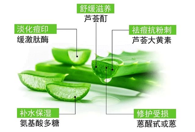 芦荟胶祛痘补水晒后修复,零添加无危害芦荟胶补水推荐