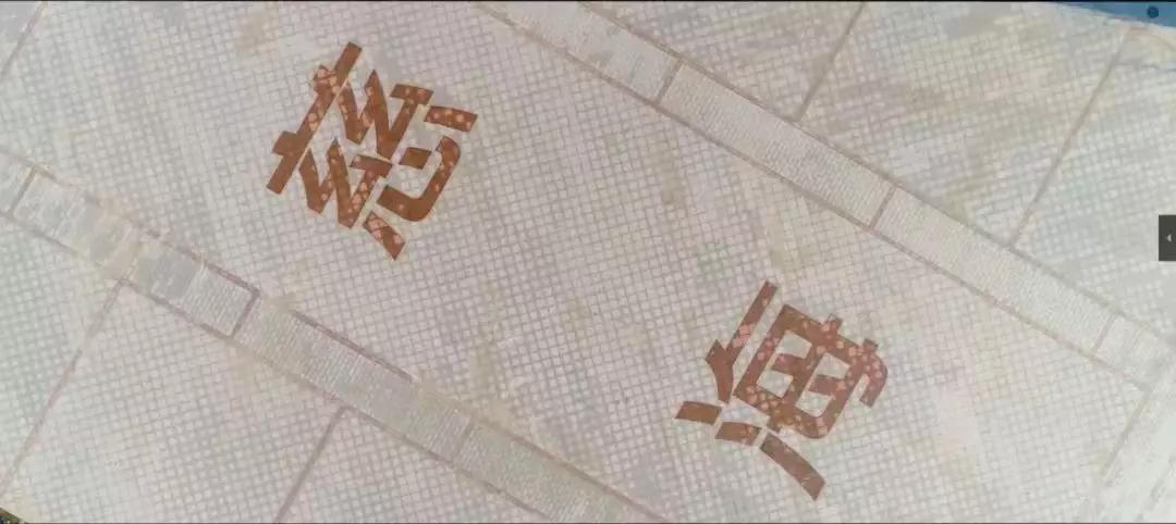 徜徉在美丽的金平湖畔,徜徉在北大校园