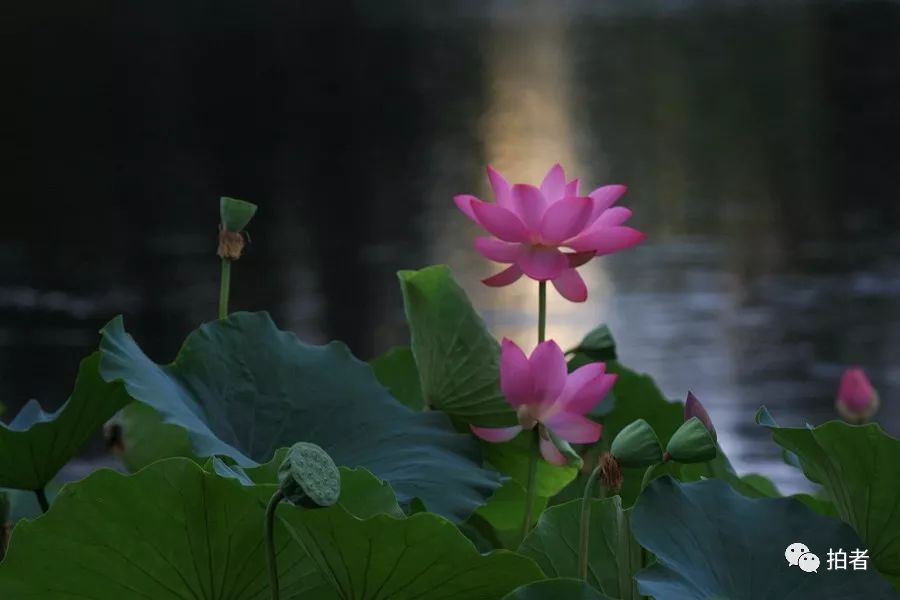 7月的318,7月的318川藏线天气