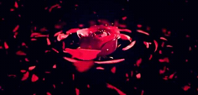 当西安姑娘太爽了！TF、MAC、阿玛尼...断货王白送就从今天起