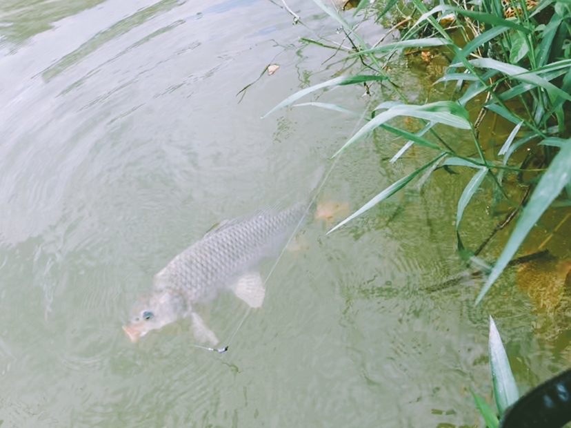 钓鱼装备全套小型鱼竿推荐,私人订制鱼竿路亚