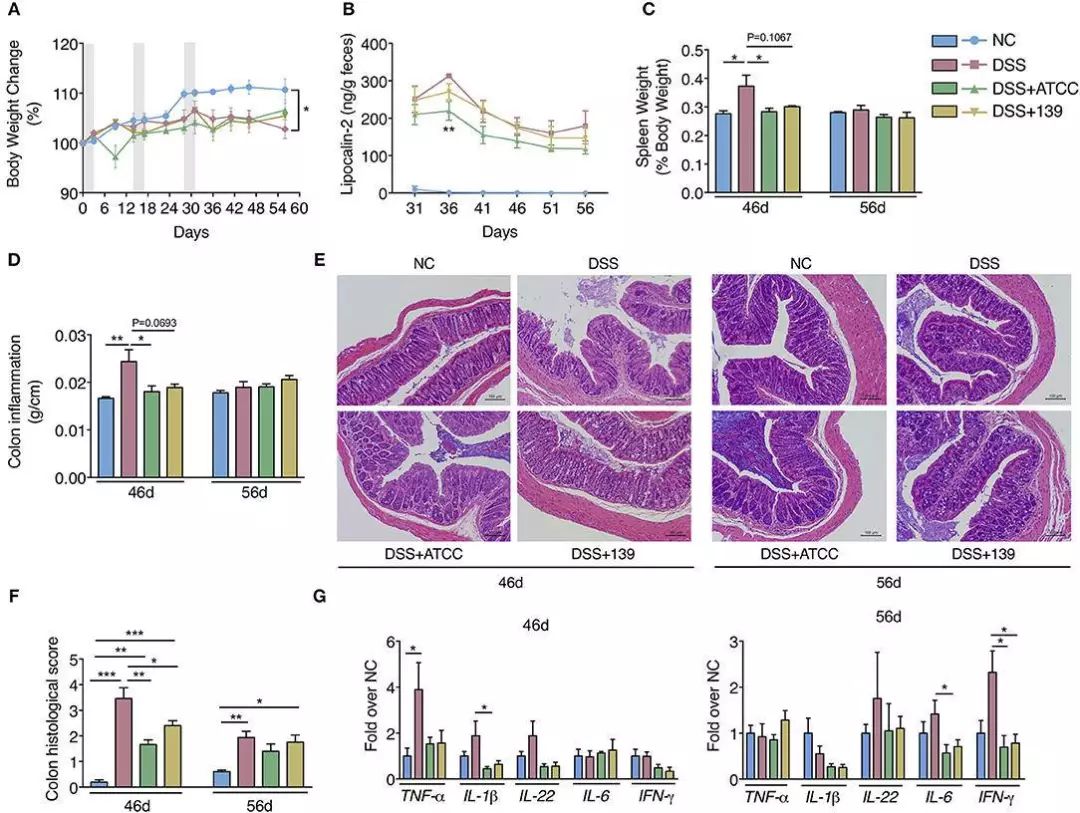 akk益生菌有什么功效,万能益生菌效果怎么样
