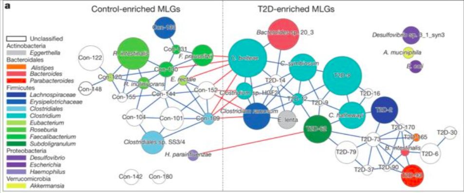akk益生菌,益生菌akk瘦子菌推荐