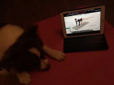 居家高级健身器材,居家健身推荐器材