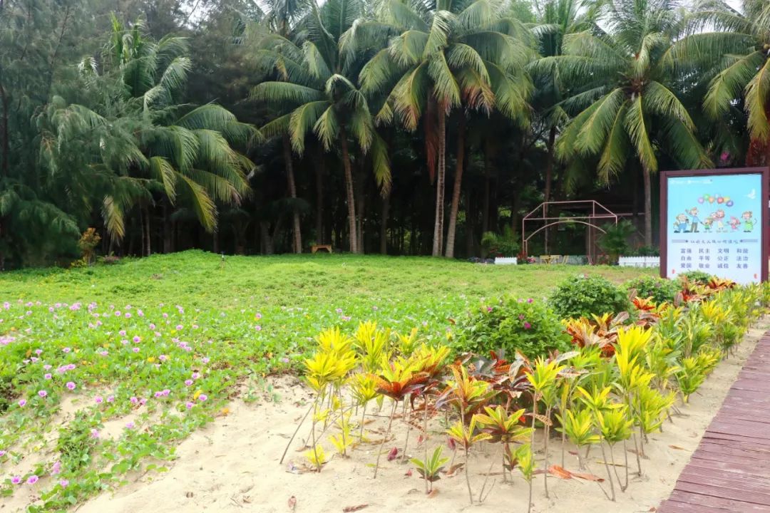 远离人海找个小众地方,避开喧嚣寻一处静谧