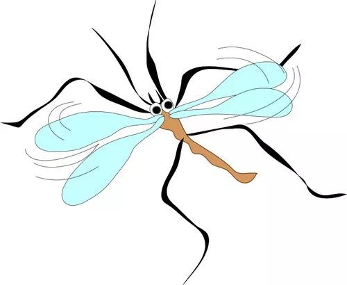 蚊子叮咬会传染什么疾病,被多少蚊子叮咬才会被传染上疾病