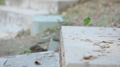 慢跑鞋缓震科技,回力鞋底黑科技