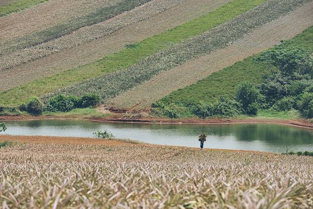 中国大陆最南端湛江旅行攻略,中国大陆最南端湛江景点