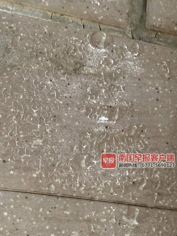 南宁一女士家中地板“冒汗”不止堪比回南天