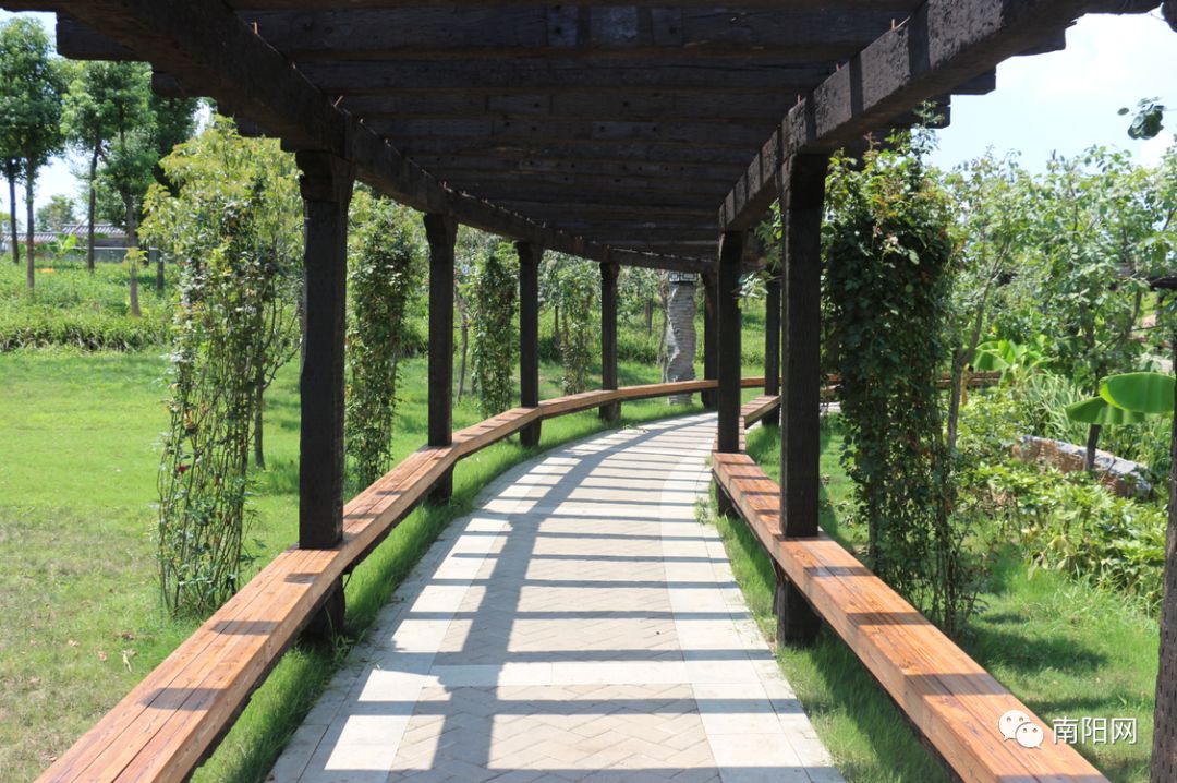 南阳腾飞,南阳飞速发展视频