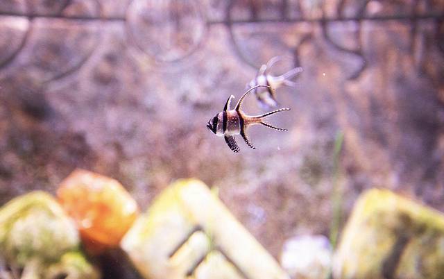 迪拜七日游旅游攻略大全最新,迪拜五日游自由行攻略