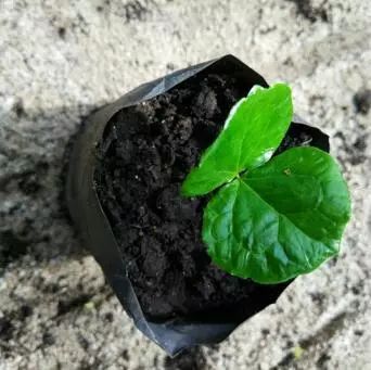 你不知道的印度孟买,你不知道的马来西亚吉隆坡