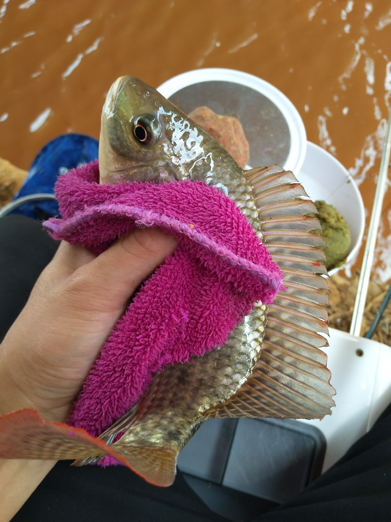 一不小心成坑冠，奈何狂拉还是败给网工...