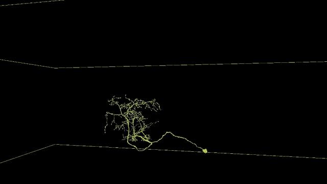 谷歌重建果蝇大脑图像,谷歌重建大脑