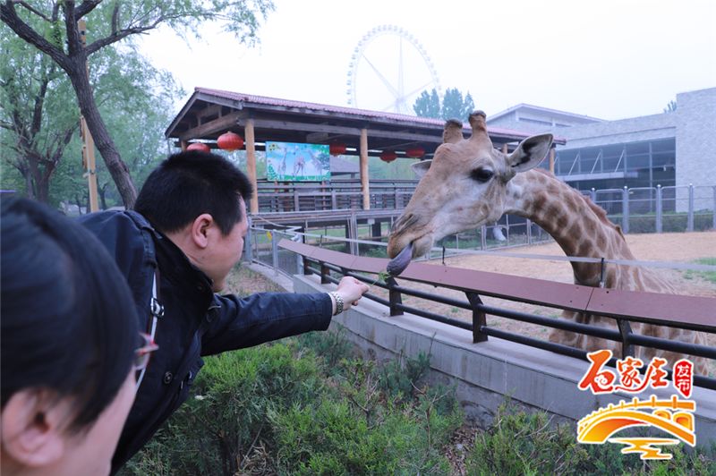 石家庄约会浪漫的地方有哪些,七夕约会地方推荐石家庄