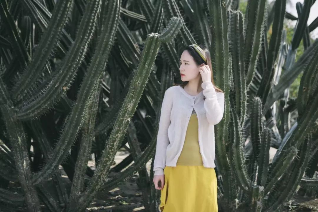 拔草厦门,厦门帆船酒店观景