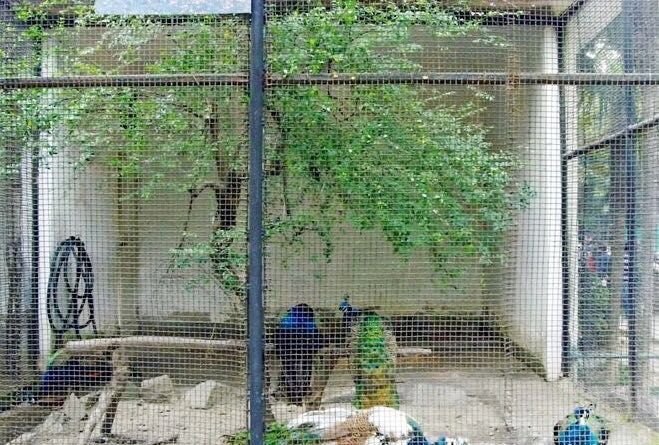 控江路视频,控江路到海昌海洋要多久