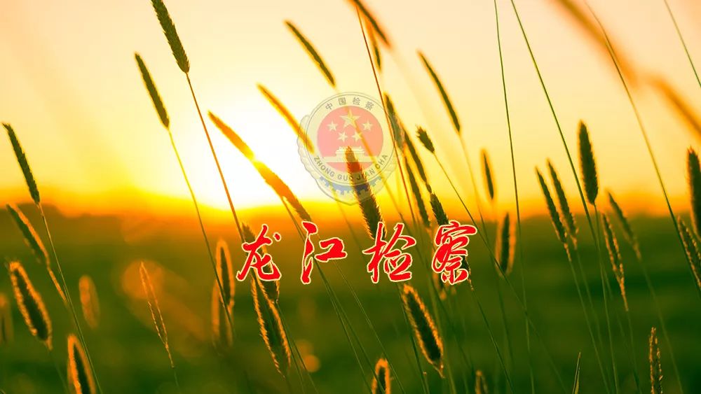 守护成长法制讲座包头,守护成长直播简报