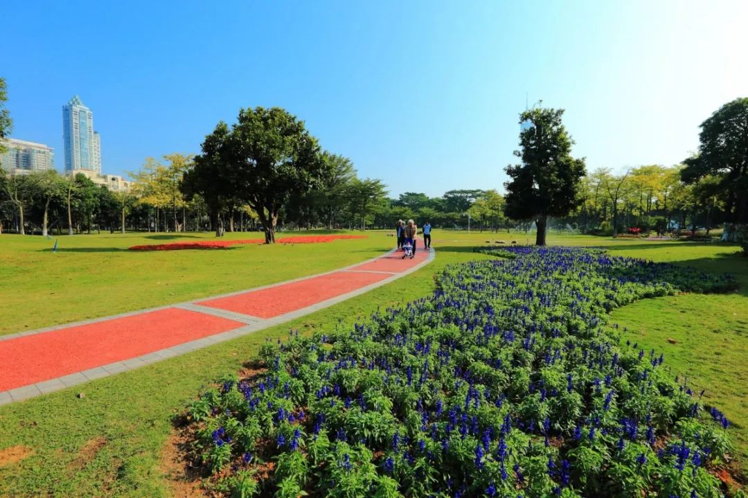 越秀区全民健身中心时间表,越秀区全民健身活动中心羽毛球