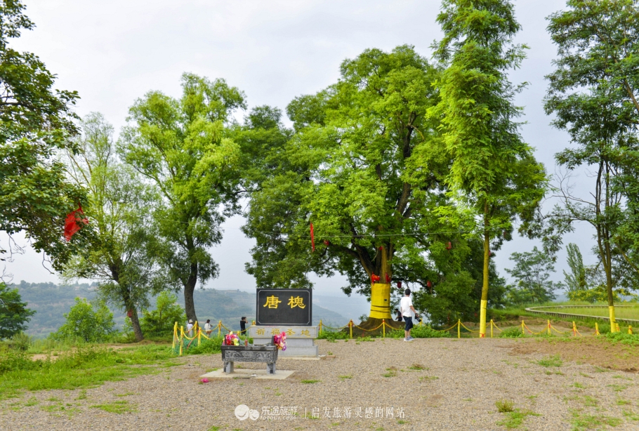 鹑觚城,鹑觚美食