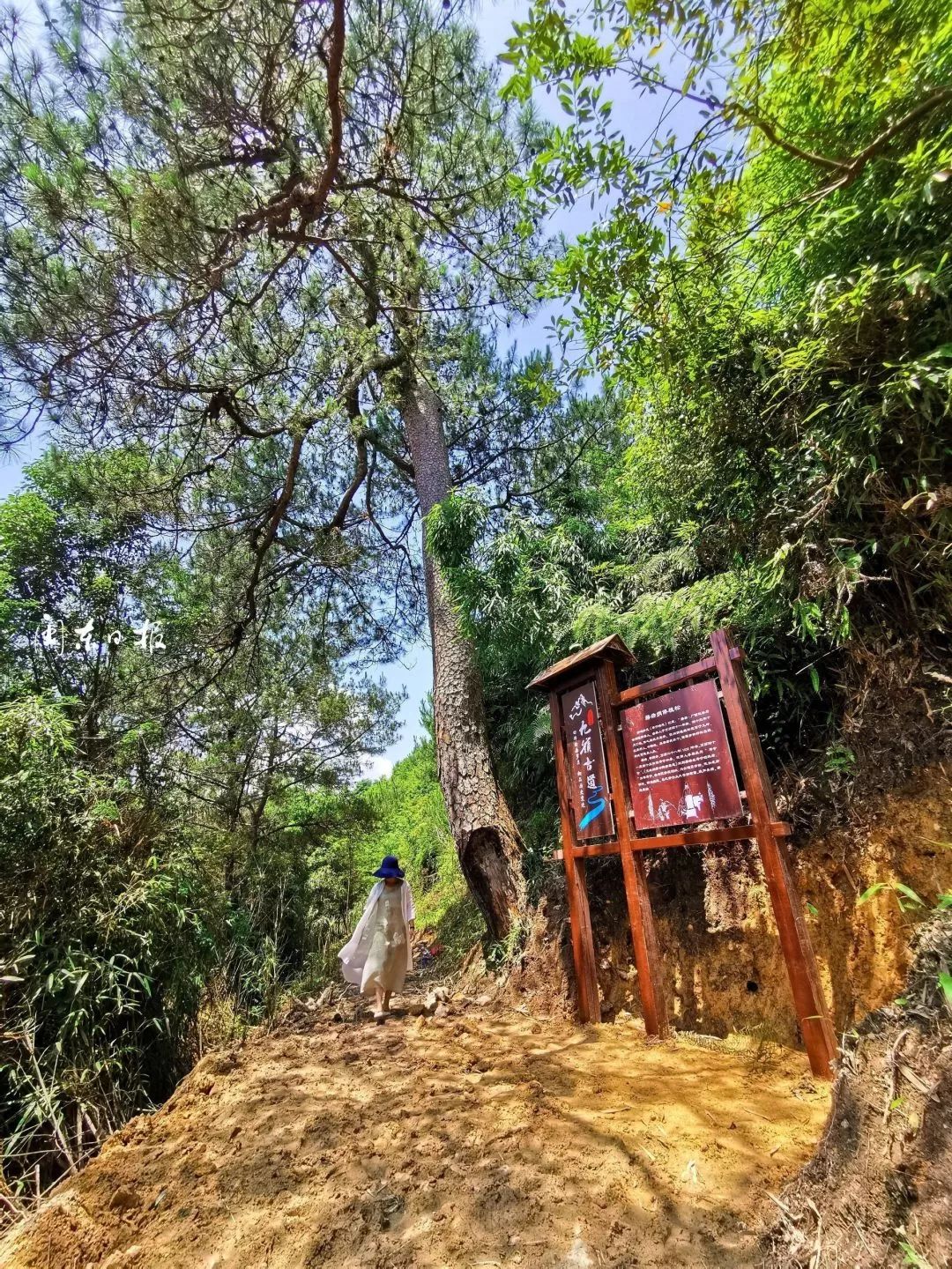 寿宁的车岭和九岭,车岭和九岭