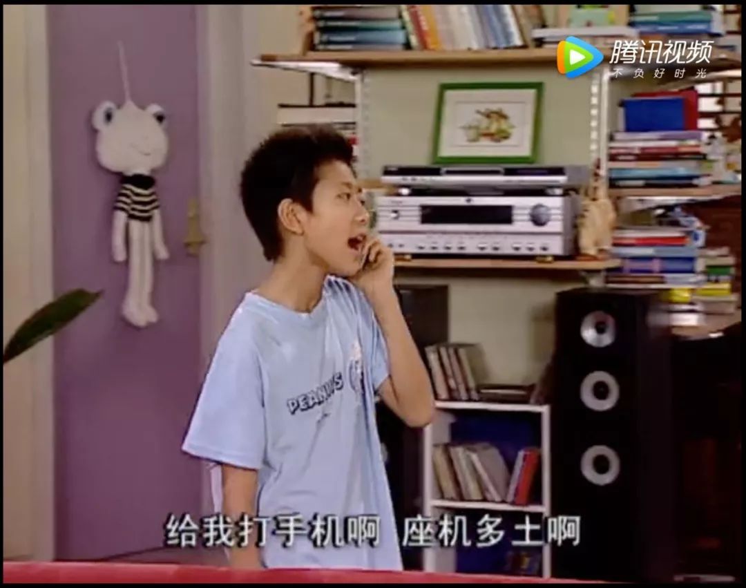 家有儿女长大后回忆,家有儿女经典回忆录