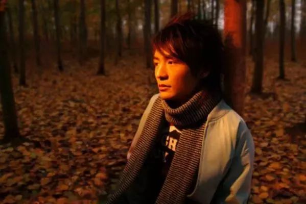 为什么朴树这么火,为什么朴树价格这么高