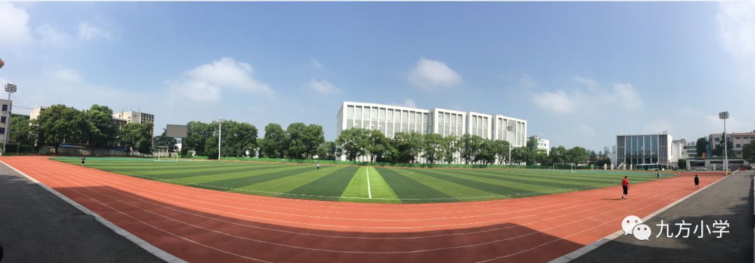 青少年足球火热,少年足球热浪推荐