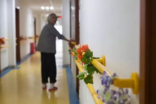 用生命影响生命朗诵央视,用生命影响生命手语朗诵