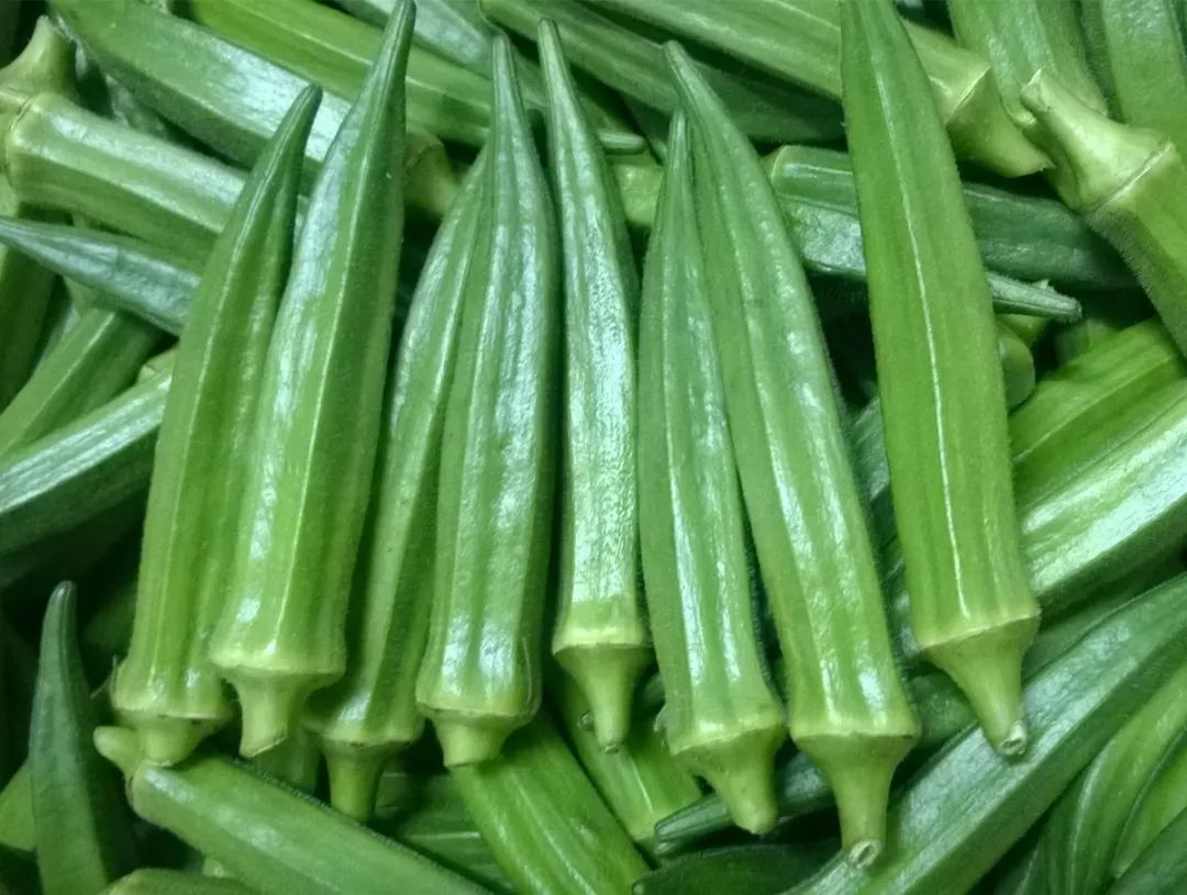 好好学习农大,好好学习农业知识