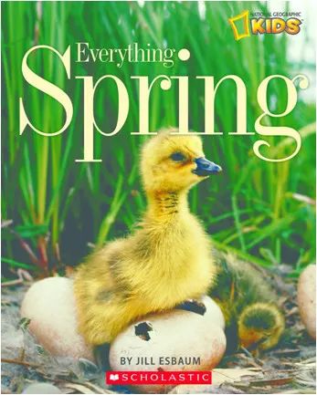 早期阅读是孩子独立阅读的基础,怎么鼓励孩子阅读非虚构书