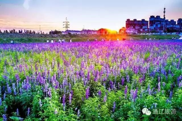 爱上这座城的理由,爱上这个城市的理由