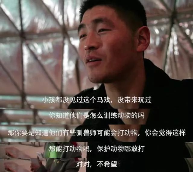 丧心病狂！每帧画面都在捅刀子，多少人忽视了这些人间惨剧…