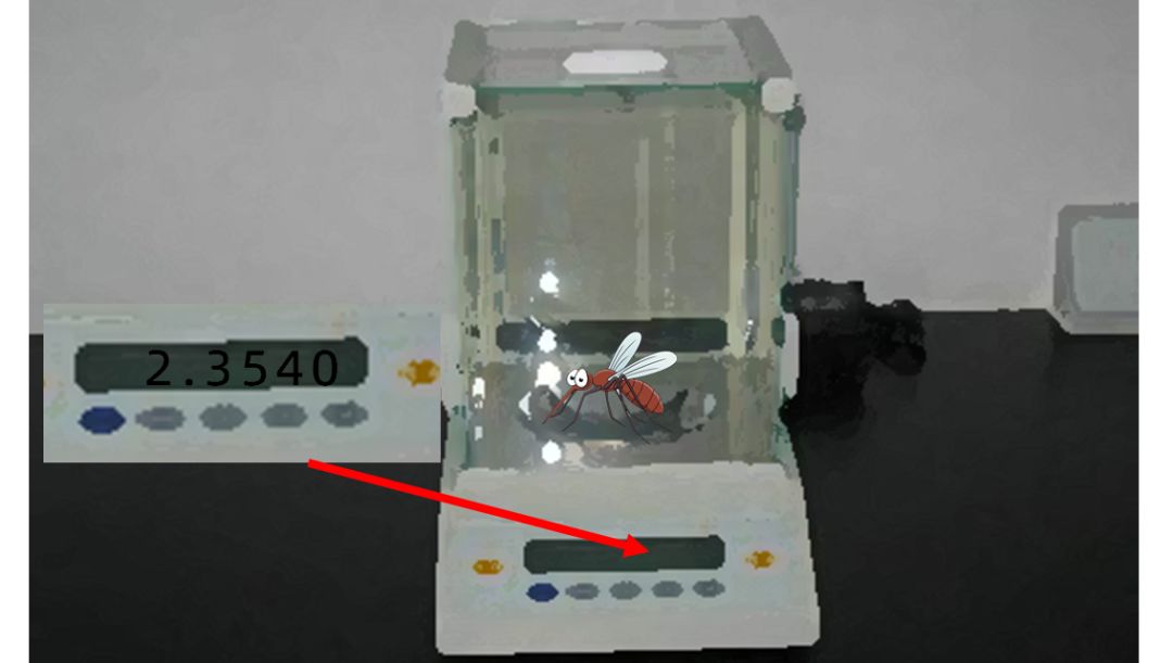 为什么有一些蚊子会飞还会叮人,为什么会有蚊子这种生物有趣回答